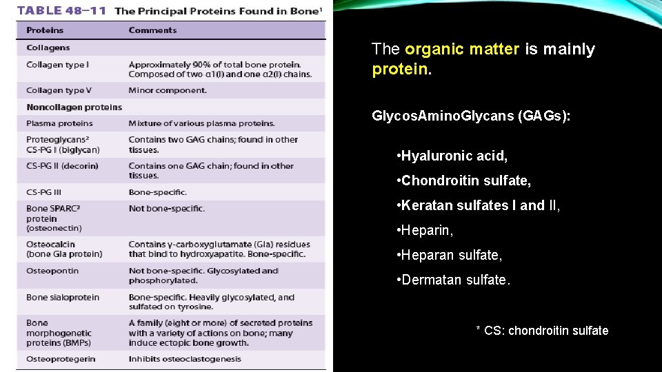 The organic matter is mainly protein. Glycos. Amino. Glycans (GAGs): • Hyaluronic acid, •