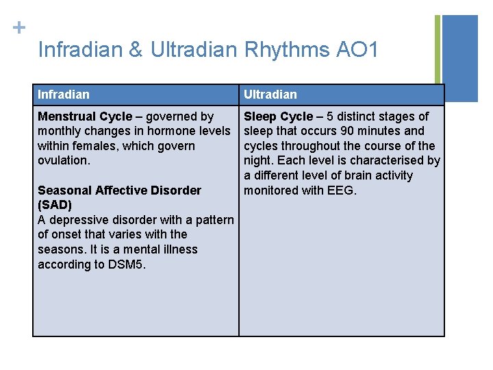 + Infradian & Ultradian Rhythms AO 1 Infradian Ultradian Menstrual Cycle – governed by