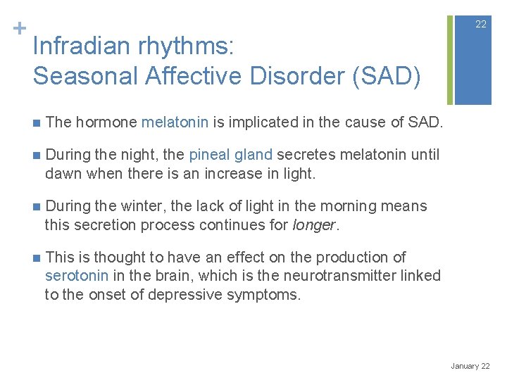 + 22 Infradian rhythms: Seasonal Affective Disorder (SAD) n The hormone melatonin is implicated