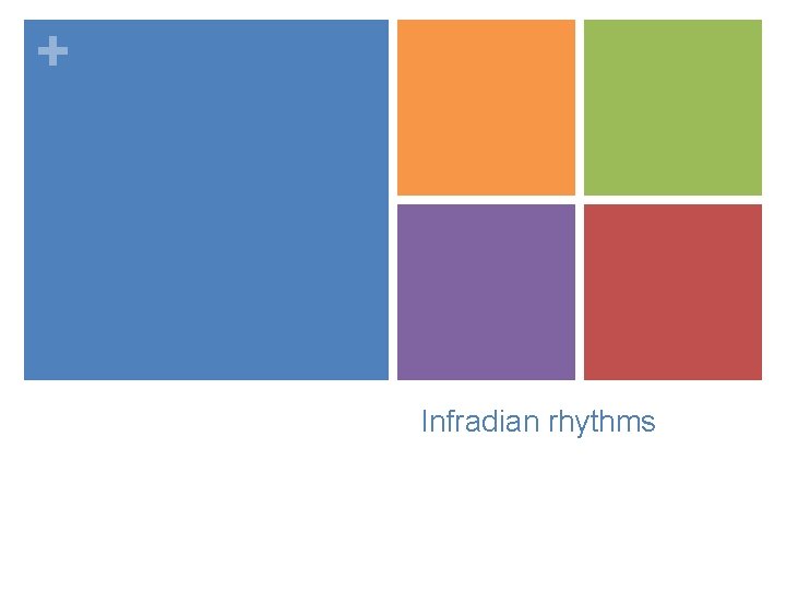 + Infradian rhythms 