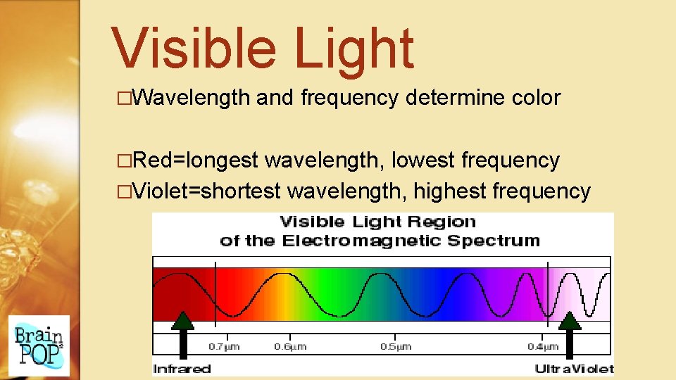 Visible Light �Wavelength and frequency determine color �Red=longest wavelength, lowest frequency �Violet=shortest wavelength, highest