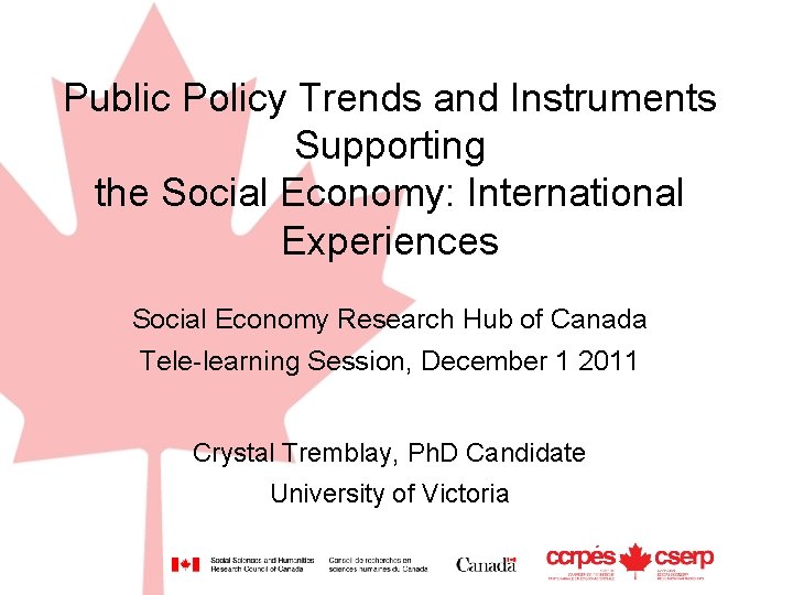 Public Policy Trends and Instruments Supporting the Social Economy: International Experiences Social Economy Research