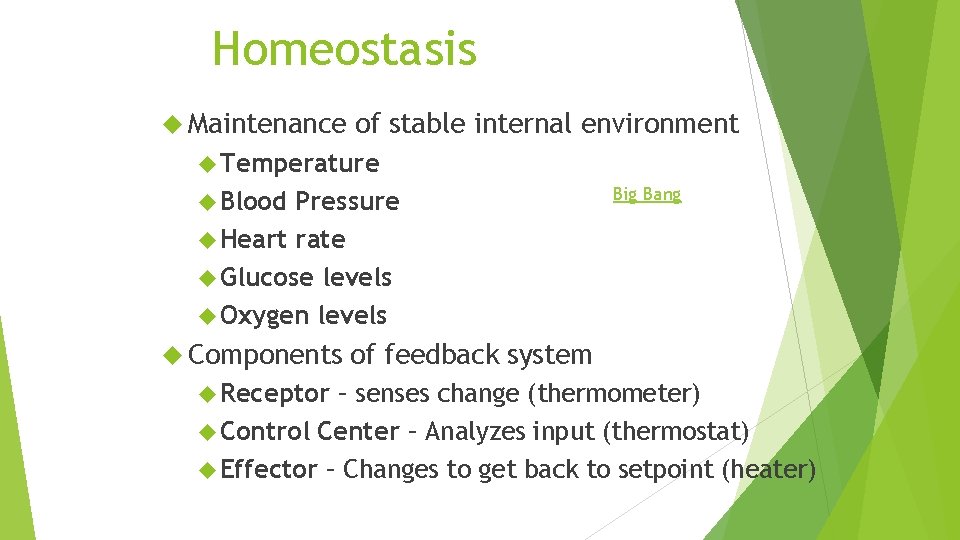 Homeostasis Maintenance of stable internal environment Temperature Blood Pressure Heart rate Glucose levels Oxygen