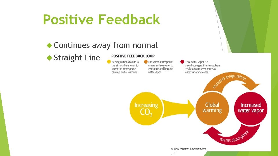 Positive Feedback Continues Straight away from normal Line 