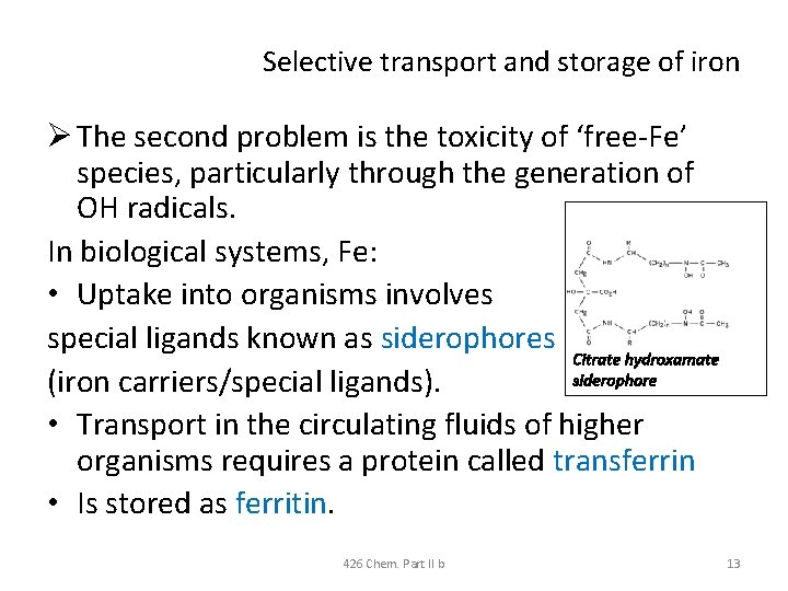 426 Chem Bioinorganic Chemistry Part II Transport and