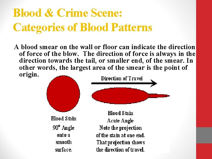 Blood & Crime Scene: Categories of Blood Patterns A blood smear on the wall