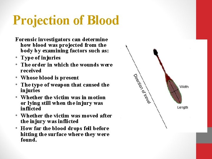 Projection of Blood Forensic investigators can determine how blood was projected from the body