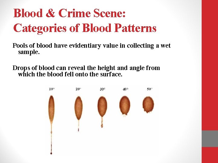 Blood & Crime Scene: Categories of Blood Patterns Pools of blood have evidentiary value