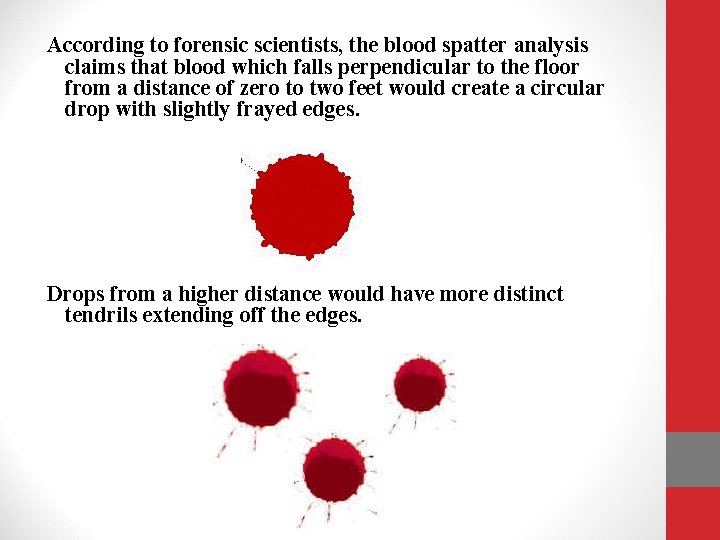 According to forensic scientists, the blood spatter analysis claims that blood which falls perpendicular