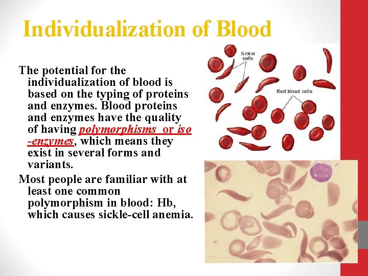 Individualization of Blood The potential for the individualization of blood is based on the