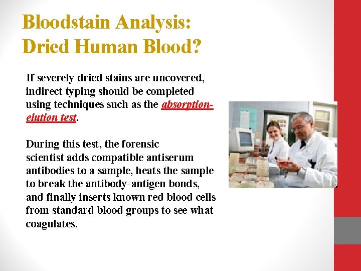 Bloodstain Analysis: Dried Human Blood? If severely dried stains are uncovered, indirect typing should