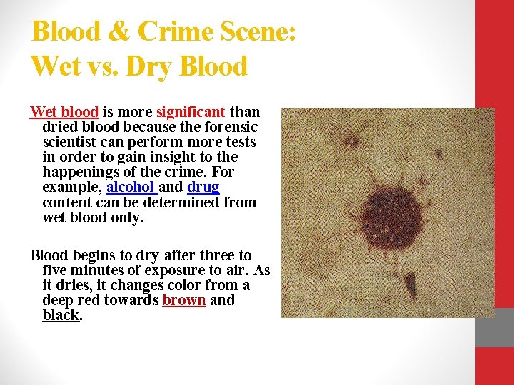 Blood & Crime Scene: Wet vs. Dry Blood Wet blood is more significant than