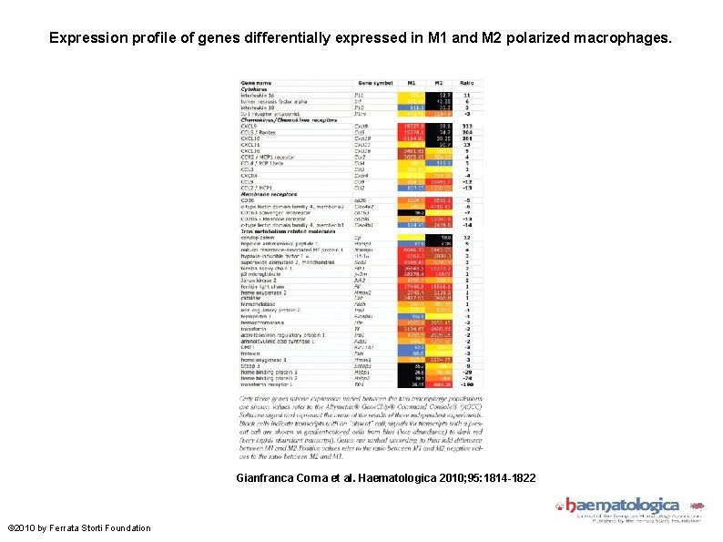 Expression profile of genes differentially expressed in M 1 and M 2 polarized macrophages.
