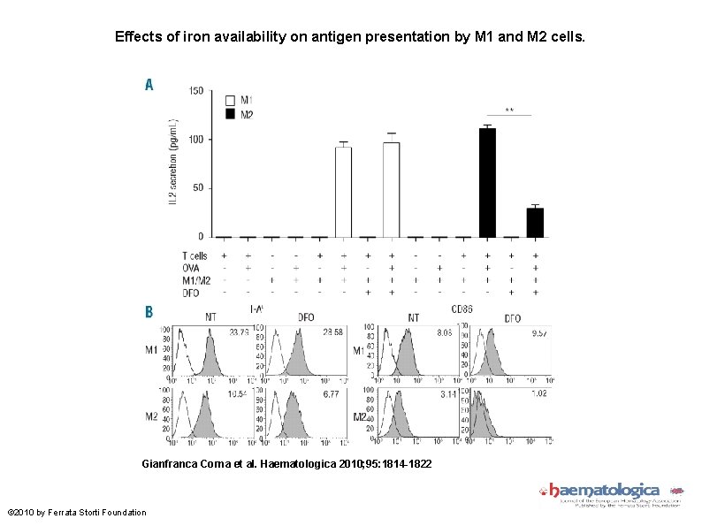Effects of iron availability on antigen presentation by M 1 and M 2 cells.