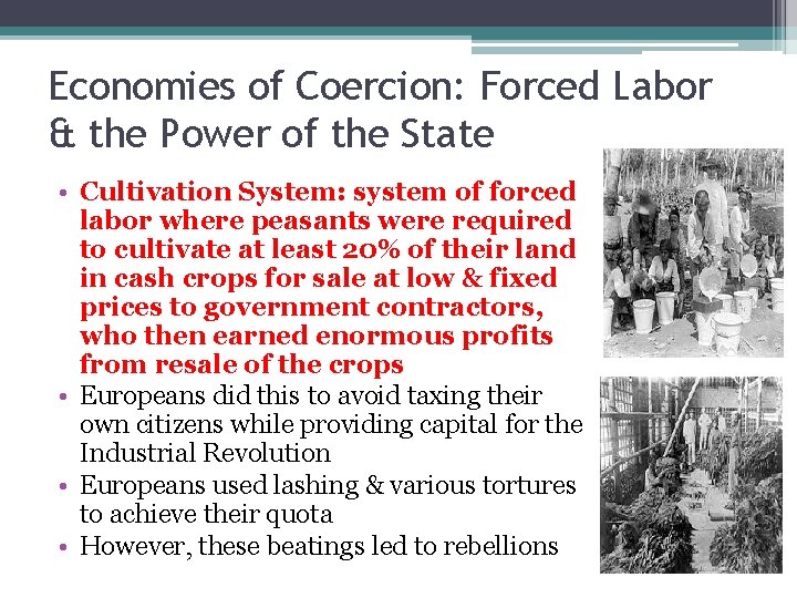 Economies of Coercion: Forced Labor & the Power of the State • Cultivation System: