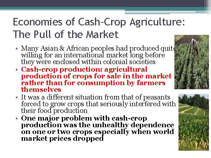 Economies of Cash-Crop Agriculture: The Pull of the Market • Many Asian & African