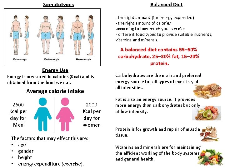 Somatotypes Balanced Diet - the right amount (for energy expended) - the right amount