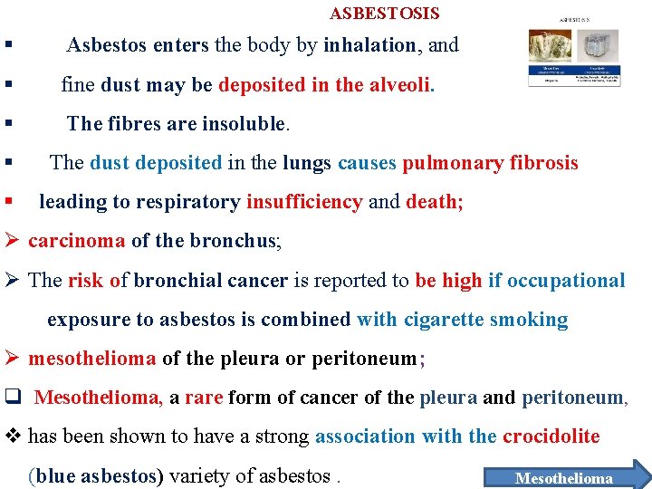 ASBESTOSIS § Asbestos enters the body by inhalation, and § fine dust may be