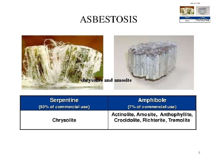 chrysolite and amosite 8 