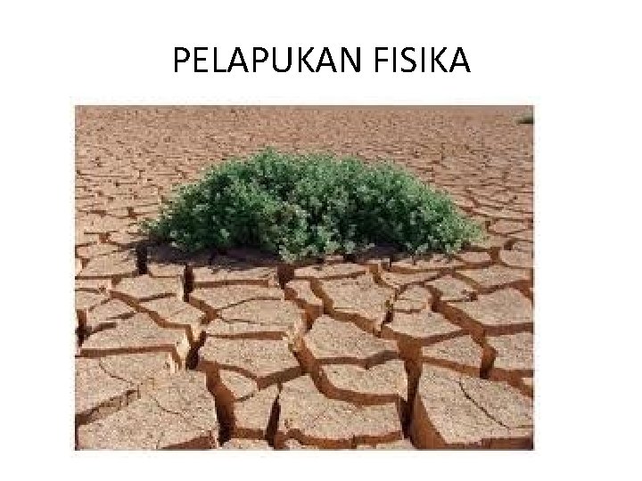 PELAPUKAN FISIKA 