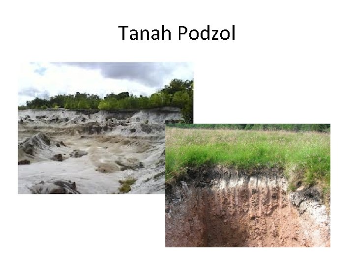 Tanah Podzol 