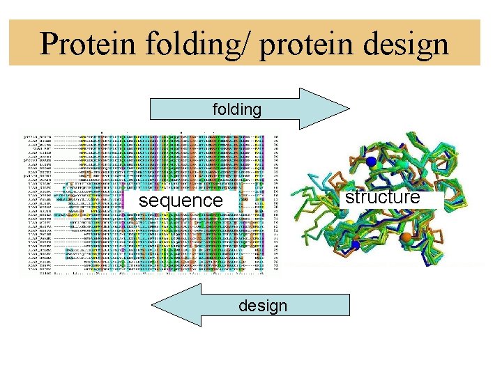 Protein folding/ protein design folding structure sequence design 