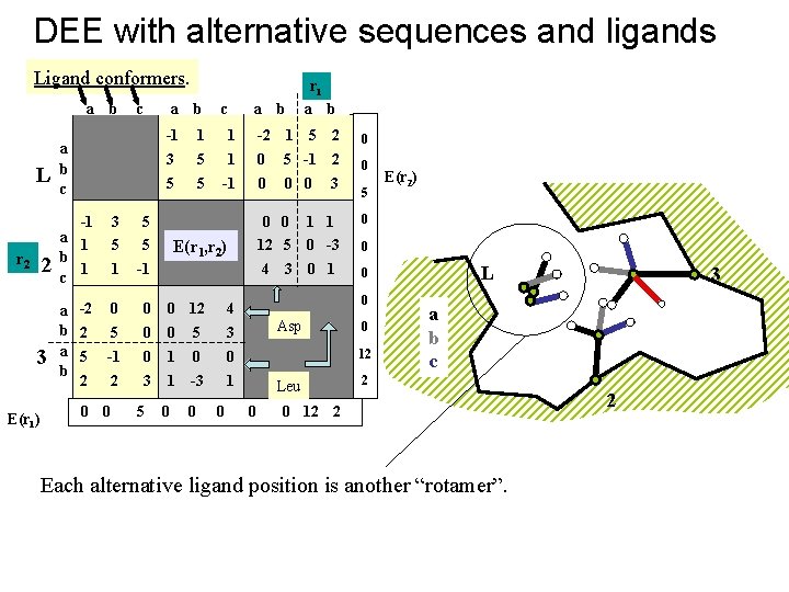 DEE with alternative sequences and ligands Ligand conformers. a L b 1 c a