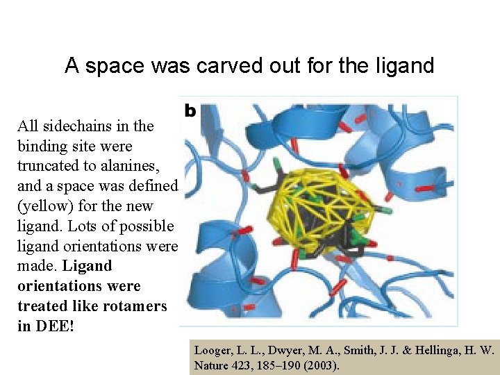 A space was carved out for the ligand All sidechains in the binding site
