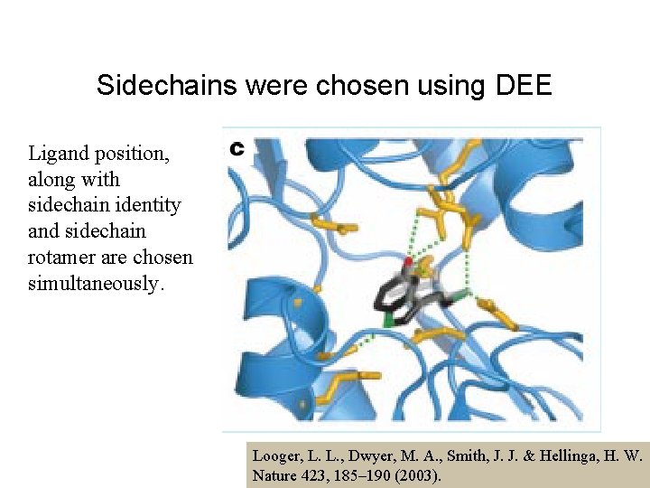 Sidechains were chosen using DEE Ligand position, along with sidechain identity and sidechain rotamer