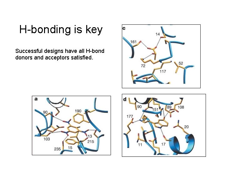 H-bonding is key Successful designs have all H-bond donors and acceptors satisfied. 