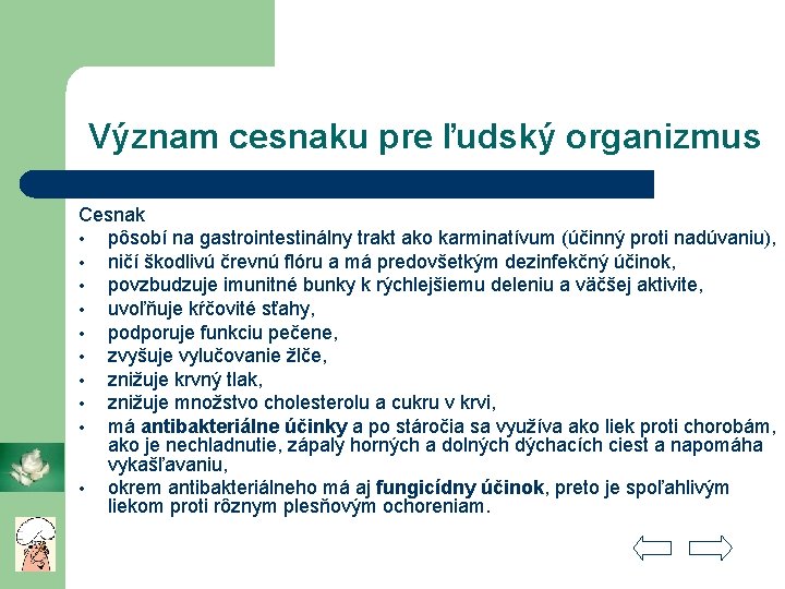 Význam cesnaku pre ľudský organizmus Cesnak • pôsobí na gastrointestinálny trakt ako karminatívum (účinný