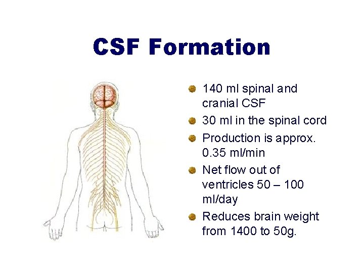 CSF Formation 140 ml spinal and cranial CSF 30 ml in the spinal cord