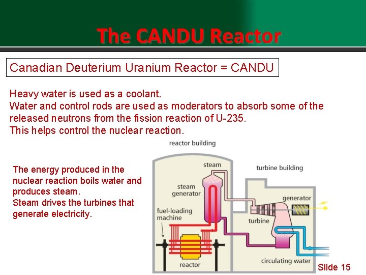 The CANDU Reactor Canadian Deuterium Uranium Reactor = CANDU Heavy is used as a