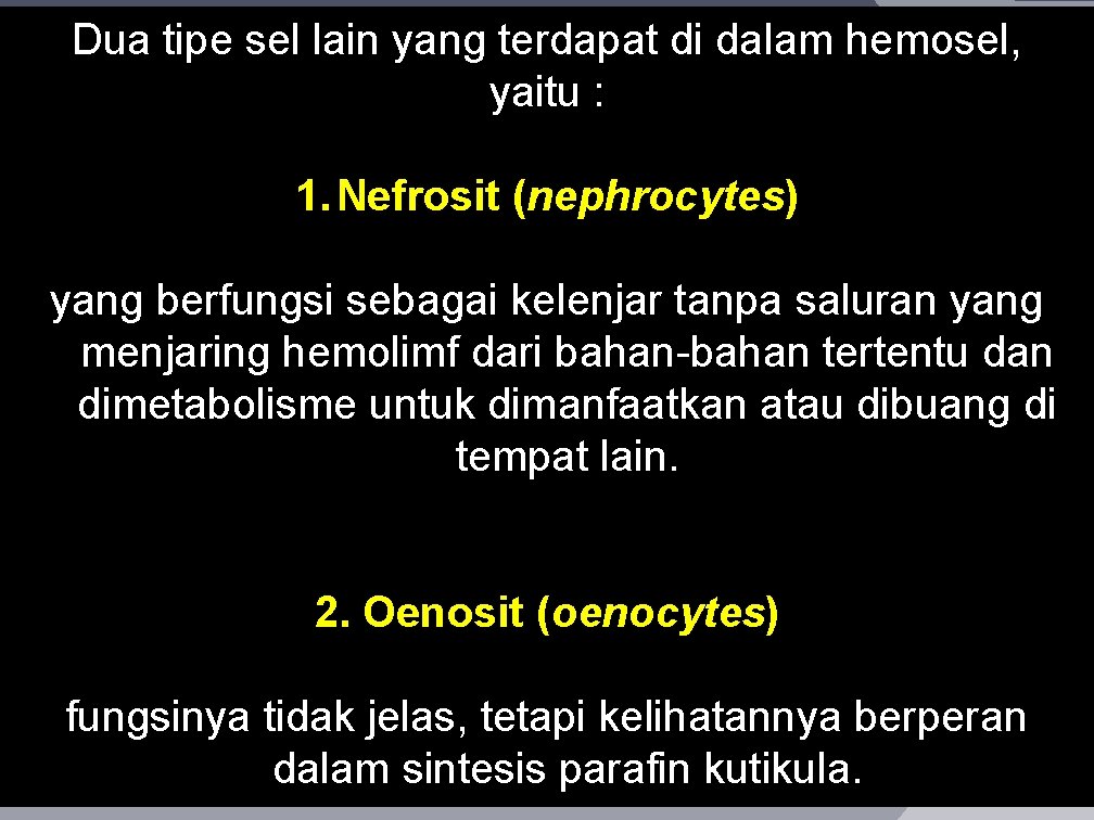 Dua tipe sel lain yang terdapat di dalam hemosel, yaitu : 1. Nefrosit (nephrocytes)