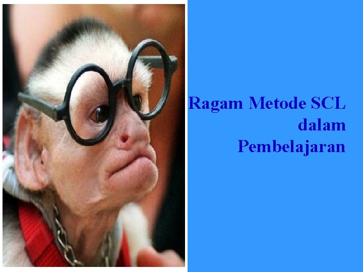 Ragam Metode SCL dalam Pembelajaran 