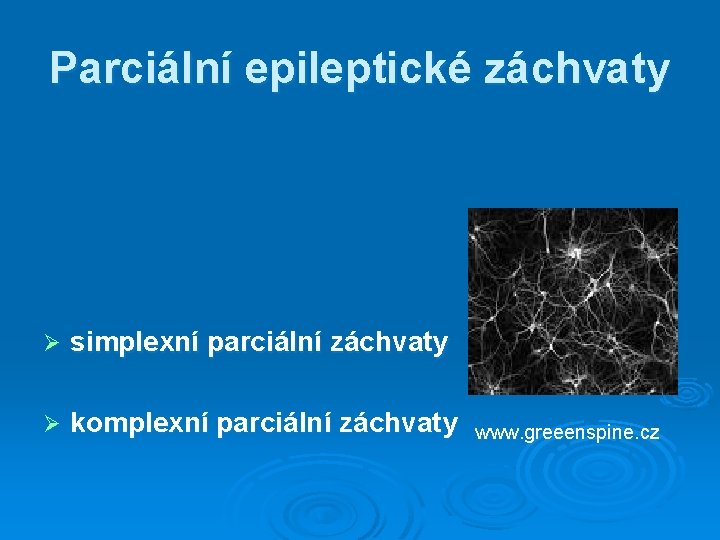 Parciální epileptické záchvaty Ø simplexní parciální záchvaty Ø komplexní parciální záchvaty www. greeenspine. cz