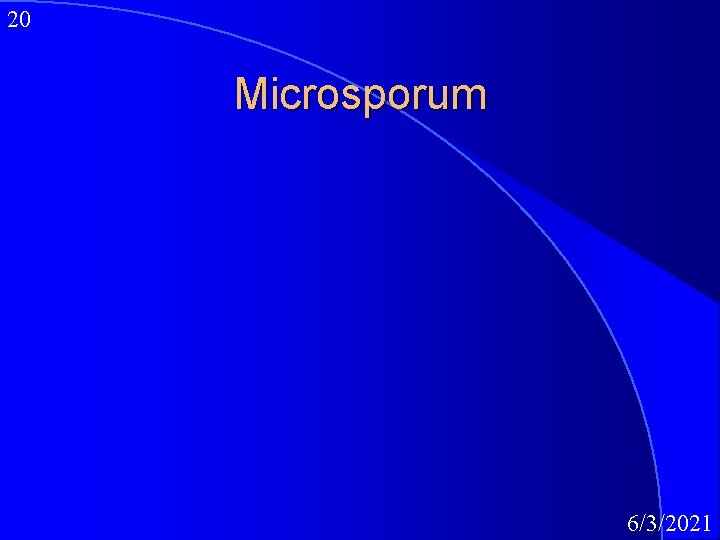20 Microsporum 6/3/2021 