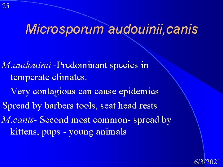 25 Microsporum audouinii, canis M. audouinii -Predominant species in temperate climates. Very contagious can