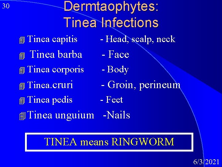 Dermtaophytes: Tinea Infections 30 4 Tinea 4 capitis Tinea barba 4 Tinea corporis -