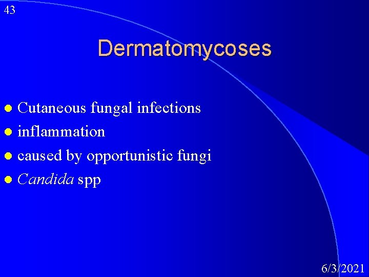 43 Dermatomycoses Cutaneous fungal infections l inflammation l caused by opportunistic fungi l Candida