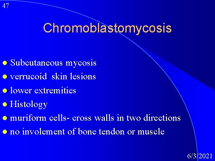 47 Chromoblastomycosis Subcutaneous mycosis l verrucoid skin lesions l lower extremities l Histology l