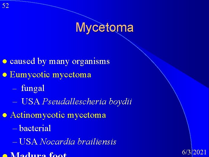 52 Mycetoma caused by many organisms l Eumycotic mycetoma – fungal – USA Pseudallescheria