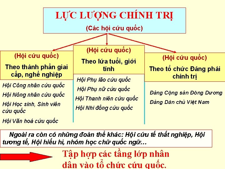 LỰC LƯỢNG CHÍNH TRỊ (Các hội cứu quốc) (Hội cứu quốc) Theo thành phần