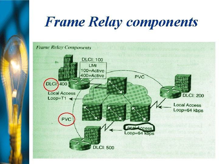 Frame Relay components 