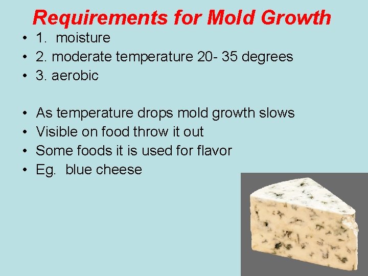 Requirements for Mold Growth • 1. moisture • 2. moderate temperature 20 - 35