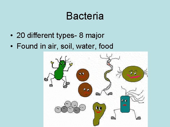 Bacteria • 20 different types- 8 major • Found in air, soil, water, food