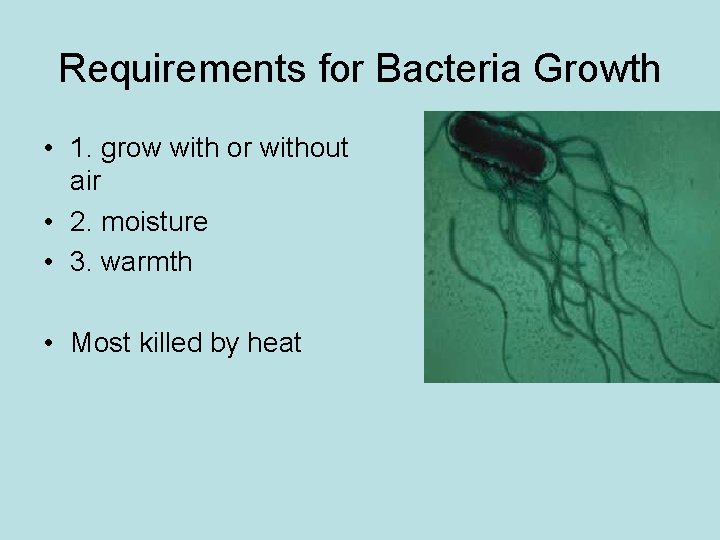 Requirements for Bacteria Growth • 1. grow with or without air • 2. moisture