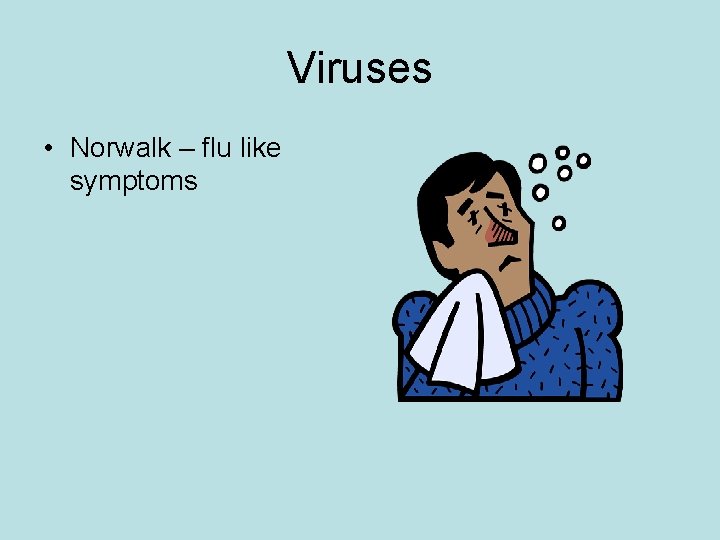 Viruses • Norwalk – flu like symptoms 