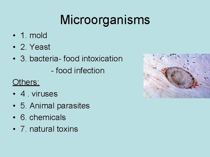 Microorganisms • 1. mold • 2. Yeast • 3. bacteria- food intoxication - food