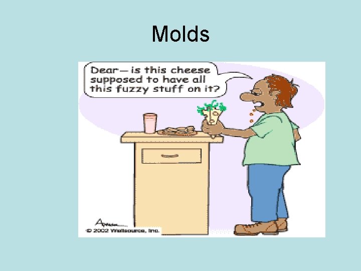 Molds 